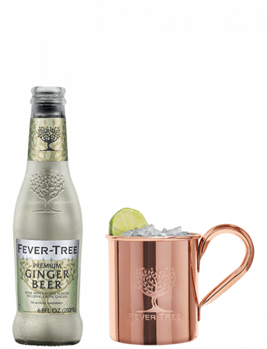 Fever Tree - Dry Ginger Beer